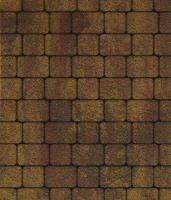  Тротуарная плитка Выбор Классико Листопад А.1.КО.4 Гранит 40 мм Осень: внешний вид