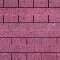  Тротуарная плитка Steinrus Прямоугольник Лайн 200х100х60 мм Сиваш BackWash: внешний вид